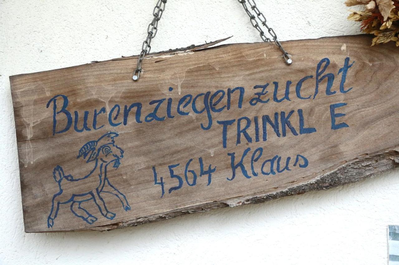 Hof Zur Steinwaend Bed & Breakfast Micheldorf in Oberösterreich Екстериор снимка