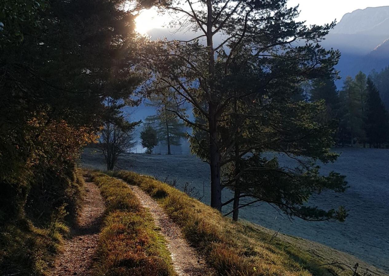 Hof Zur Steinwaend Bed & Breakfast Micheldorf in Oberösterreich Екстериор снимка